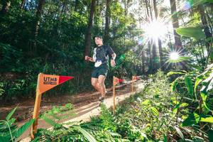 BIB: 
                            <button type="button" onclick="openModal(26630514)" class="btn btn-primary btn-sm float-right btn-popup" data-toggle="modal" data-target=".modal-high-quality">
                        <i class="fas fa-shopping-cart"></i> Add to Cart
                    </button>
                                            <button type="button" onclick="isThisMe(26630514, true)" class="btn btn-success btn-sm float-right btn-popup btn-isme hidden" data-toggle="tooltip" data-placement="bottom" title="นี่คือรูปของคุณใช่ไหม คลิกที่นี่เพื่อเอาเข้าอัลบั้ม">
                        <i class="fas fa-plus"></i> Add to album
                    </button>
                    <button type="button" onclick="isThisMe(26630514, false)" class="btn btn-warning btn-sm float-right btn-popup btn-isnotme hidden">
                        <i class="fas fa-ban"></i> Remove from album
                    </button>