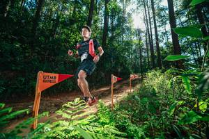 BIB: 
                            <button type="button" onclick="openModal(26629769)" class="btn btn-primary btn-sm float-right btn-popup" data-toggle="modal" data-target=".modal-high-quality">
                        <i class="fas fa-shopping-cart"></i> Add to Cart
                    </button>
                                            <button type="button" onclick="isThisMe(26629769, true)" class="btn btn-success btn-sm float-right btn-popup btn-isme hidden" data-toggle="tooltip" data-placement="bottom" title="นี่คือรูปของคุณใช่ไหม คลิกที่นี่เพื่อเอาเข้าอัลบั้ม">
                        <i class="fas fa-plus"></i> Add to album
                    </button>
                    <button type="button" onclick="isThisMe(26629769, false)" class="btn btn-warning btn-sm float-right btn-popup btn-isnotme hidden">
                        <i class="fas fa-ban"></i> Remove from album
                    </button>