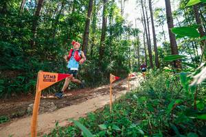 BIB: 
                            <button type="button" onclick="openModal(26629592)" class="btn btn-primary btn-sm float-right btn-popup" data-toggle="modal" data-target=".modal-high-quality">
                        <i class="fas fa-shopping-cart"></i> Add to Cart
                    </button>
                                            <button type="button" onclick="isThisMe(26629592, true)" class="btn btn-success btn-sm float-right btn-popup btn-isme hidden" data-toggle="tooltip" data-placement="bottom" title="นี่คือรูปของคุณใช่ไหม คลิกที่นี่เพื่อเอาเข้าอัลบั้ม">
                        <i class="fas fa-plus"></i> Add to album
                    </button>
                    <button type="button" onclick="isThisMe(26629592, false)" class="btn btn-warning btn-sm float-right btn-popup btn-isnotme hidden">
                        <i class="fas fa-ban"></i> Remove from album
                    </button>