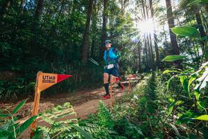 BIB: 
                            <button type="button" onclick="openModal(26630371)" class="btn btn-primary btn-sm float-right btn-popup" data-toggle="modal" data-target=".modal-high-quality">
                        <i class="fas fa-shopping-cart"></i> Add to Cart
                    </button>
                                            <button type="button" onclick="isThisMe(26630371, true)" class="btn btn-success btn-sm float-right btn-popup btn-isme hidden" data-toggle="tooltip" data-placement="bottom" title="นี่คือรูปของคุณใช่ไหม คลิกที่นี่เพื่อเอาเข้าอัลบั้ม">
                        <i class="fas fa-plus"></i> Add to album
                    </button>
                    <button type="button" onclick="isThisMe(26630371, false)" class="btn btn-warning btn-sm float-right btn-popup btn-isnotme hidden">
                        <i class="fas fa-ban"></i> Remove from album
                    </button>