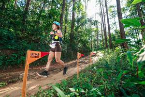 BIB: 
                            <button type="button" onclick="openModal(26629504)" class="btn btn-primary btn-sm float-right btn-popup" data-toggle="modal" data-target=".modal-high-quality">
                        <i class="fas fa-shopping-cart"></i> Add to Cart
                    </button>
                                            <button type="button" onclick="isThisMe(26629504, true)" class="btn btn-success btn-sm float-right btn-popup btn-isme hidden" data-toggle="tooltip" data-placement="bottom" title="นี่คือรูปของคุณใช่ไหม คลิกที่นี่เพื่อเอาเข้าอัลบั้ม">
                        <i class="fas fa-plus"></i> Add to album
                    </button>
                    <button type="button" onclick="isThisMe(26629504, false)" class="btn btn-warning btn-sm float-right btn-popup btn-isnotme hidden">
                        <i class="fas fa-ban"></i> Remove from album
                    </button>