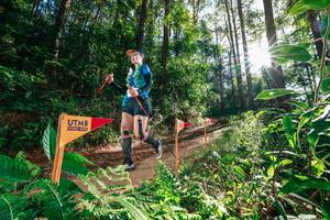 BIB: 
                            <button type="button" onclick="openModal(26626680)" class="btn btn-primary btn-sm float-right btn-popup" data-toggle="modal" data-target=".modal-high-quality">
                        <i class="fas fa-shopping-cart"></i> Add to Cart
                    </button>
                                            <button type="button" onclick="isThisMe(26626680, true)" class="btn btn-success btn-sm float-right btn-popup btn-isme hidden" data-toggle="tooltip" data-placement="bottom" title="นี่คือรูปของคุณใช่ไหม คลิกที่นี่เพื่อเอาเข้าอัลบั้ม">
                        <i class="fas fa-plus"></i> Add to album
                    </button>
                    <button type="button" onclick="isThisMe(26626680, false)" class="btn btn-warning btn-sm float-right btn-popup btn-isnotme hidden">
                        <i class="fas fa-ban"></i> Remove from album
                    </button>