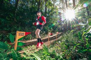 BIB: 
                            <button type="button" onclick="openModal(26626274)" class="btn btn-primary btn-sm float-right btn-popup" data-toggle="modal" data-target=".modal-high-quality">
                        <i class="fas fa-shopping-cart"></i> Add to Cart
                    </button>
                                            <button type="button" onclick="isThisMe(26626274, true)" class="btn btn-success btn-sm float-right btn-popup btn-isme hidden" data-toggle="tooltip" data-placement="bottom" title="นี่คือรูปของคุณใช่ไหม คลิกที่นี่เพื่อเอาเข้าอัลบั้ม">
                        <i class="fas fa-plus"></i> Add to album
                    </button>
                    <button type="button" onclick="isThisMe(26626274, false)" class="btn btn-warning btn-sm float-right btn-popup btn-isnotme hidden">
                        <i class="fas fa-ban"></i> Remove from album
                    </button>