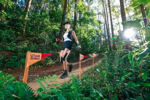 BIB: 
                            <button type="button" onclick="openModal(26628020)" class="btn btn-primary btn-sm float-right btn-popup" data-toggle="modal" data-target=".modal-high-quality">
                        <i class="fas fa-shopping-cart"></i> Add to Cart
                    </button>
                                            <button type="button" onclick="isThisMe(26628020, true)" class="btn btn-success btn-sm float-right btn-popup btn-isme hidden" data-toggle="tooltip" data-placement="bottom" title="นี่คือรูปของคุณใช่ไหม คลิกที่นี่เพื่อเอาเข้าอัลบั้ม">
                        <i class="fas fa-plus"></i> Add to album
                    </button>
                    <button type="button" onclick="isThisMe(26628020, false)" class="btn btn-warning btn-sm float-right btn-popup btn-isnotme hidden">
                        <i class="fas fa-ban"></i> Remove from album
                    </button>