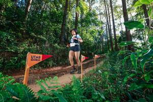 BIB: 
                            <button type="button" onclick="openModal(26627839)" class="btn btn-primary btn-sm float-right btn-popup" data-toggle="modal" data-target=".modal-high-quality">
                        <i class="fas fa-shopping-cart"></i> Add to Cart
                    </button>
                                            <button type="button" onclick="isThisMe(26627839, true)" class="btn btn-success btn-sm float-right btn-popup btn-isme hidden" data-toggle="tooltip" data-placement="bottom" title="นี่คือรูปของคุณใช่ไหม คลิกที่นี่เพื่อเอาเข้าอัลบั้ม">
                        <i class="fas fa-plus"></i> Add to album
                    </button>
                    <button type="button" onclick="isThisMe(26627839, false)" class="btn btn-warning btn-sm float-right btn-popup btn-isnotme hidden">
                        <i class="fas fa-ban"></i> Remove from album
                    </button>