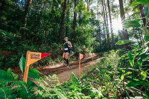 BIB: 
                            <button type="button" onclick="openModal(26626657)" class="btn btn-primary btn-sm float-right btn-popup" data-toggle="modal" data-target=".modal-high-quality">
                        <i class="fas fa-shopping-cart"></i> Add to Cart
                    </button>
                                            <button type="button" onclick="isThisMe(26626657, true)" class="btn btn-success btn-sm float-right btn-popup btn-isme hidden" data-toggle="tooltip" data-placement="bottom" title="นี่คือรูปของคุณใช่ไหม คลิกที่นี่เพื่อเอาเข้าอัลบั้ม">
                        <i class="fas fa-plus"></i> Add to album
                    </button>
                    <button type="button" onclick="isThisMe(26626657, false)" class="btn btn-warning btn-sm float-right btn-popup btn-isnotme hidden">
                        <i class="fas fa-ban"></i> Remove from album
                    </button>