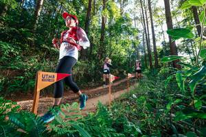 BIB: 
                            <button type="button" onclick="openModal(26627784)" class="btn btn-primary btn-sm float-right btn-popup" data-toggle="modal" data-target=".modal-high-quality">
                        <i class="fas fa-shopping-cart"></i> Add to Cart
                    </button>
                                            <button type="button" onclick="isThisMe(26627784, true)" class="btn btn-success btn-sm float-right btn-popup btn-isme hidden" data-toggle="tooltip" data-placement="bottom" title="นี่คือรูปของคุณใช่ไหม คลิกที่นี่เพื่อเอาเข้าอัลบั้ม">
                        <i class="fas fa-plus"></i> Add to album
                    </button>
                    <button type="button" onclick="isThisMe(26627784, false)" class="btn btn-warning btn-sm float-right btn-popup btn-isnotme hidden">
                        <i class="fas fa-ban"></i> Remove from album
                    </button>