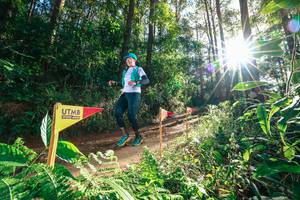 BIB: 
                            <button type="button" onclick="openModal(26626770)" class="btn btn-primary btn-sm float-right btn-popup" data-toggle="modal" data-target=".modal-high-quality">
                        <i class="fas fa-shopping-cart"></i> Add to Cart
                    </button>
                                            <button type="button" onclick="isThisMe(26626770, true)" class="btn btn-success btn-sm float-right btn-popup btn-isme hidden" data-toggle="tooltip" data-placement="bottom" title="นี่คือรูปของคุณใช่ไหม คลิกที่นี่เพื่อเอาเข้าอัลบั้ม">
                        <i class="fas fa-plus"></i> Add to album
                    </button>
                    <button type="button" onclick="isThisMe(26626770, false)" class="btn btn-warning btn-sm float-right btn-popup btn-isnotme hidden">
                        <i class="fas fa-ban"></i> Remove from album
                    </button>