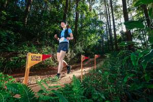 BIB: 
                            <button type="button" onclick="openModal(26627517)" class="btn btn-primary btn-sm float-right btn-popup" data-toggle="modal" data-target=".modal-high-quality">
                        <i class="fas fa-shopping-cart"></i> Add to Cart
                    </button>
                                            <button type="button" onclick="isThisMe(26627517, true)" class="btn btn-success btn-sm float-right btn-popup btn-isme hidden" data-toggle="tooltip" data-placement="bottom" title="นี่คือรูปของคุณใช่ไหม คลิกที่นี่เพื่อเอาเข้าอัลบั้ม">
                        <i class="fas fa-plus"></i> Add to album
                    </button>
                    <button type="button" onclick="isThisMe(26627517, false)" class="btn btn-warning btn-sm float-right btn-popup btn-isnotme hidden">
                        <i class="fas fa-ban"></i> Remove from album
                    </button>