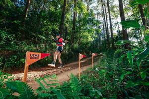 BIB: 
                            <button type="button" onclick="openModal(26627659)" class="btn btn-primary btn-sm float-right btn-popup" data-toggle="modal" data-target=".modal-high-quality">
                        <i class="fas fa-shopping-cart"></i> Add to Cart
                    </button>
                                            <button type="button" onclick="isThisMe(26627659, true)" class="btn btn-success btn-sm float-right btn-popup btn-isme hidden" data-toggle="tooltip" data-placement="bottom" title="นี่คือรูปของคุณใช่ไหม คลิกที่นี่เพื่อเอาเข้าอัลบั้ม">
                        <i class="fas fa-plus"></i> Add to album
                    </button>
                    <button type="button" onclick="isThisMe(26627659, false)" class="btn btn-warning btn-sm float-right btn-popup btn-isnotme hidden">
                        <i class="fas fa-ban"></i> Remove from album
                    </button>