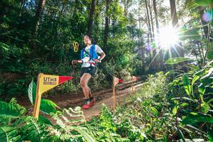 BIB: 
                            <button type="button" onclick="openModal(26626729)" class="btn btn-primary btn-sm float-right btn-popup" data-toggle="modal" data-target=".modal-high-quality">
                        <i class="fas fa-shopping-cart"></i> Add to Cart
                    </button>
                                            <button type="button" onclick="isThisMe(26626729, true)" class="btn btn-success btn-sm float-right btn-popup btn-isme hidden" data-toggle="tooltip" data-placement="bottom" title="นี่คือรูปของคุณใช่ไหม คลิกที่นี่เพื่อเอาเข้าอัลบั้ม">
                        <i class="fas fa-plus"></i> Add to album
                    </button>
                    <button type="button" onclick="isThisMe(26626729, false)" class="btn btn-warning btn-sm float-right btn-popup btn-isnotme hidden">
                        <i class="fas fa-ban"></i> Remove from album
                    </button>