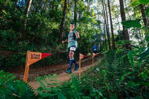 BIB: 
                            <button type="button" onclick="openModal(26628156)" class="btn btn-primary btn-sm float-right btn-popup" data-toggle="modal" data-target=".modal-high-quality">
                        <i class="fas fa-shopping-cart"></i> Add to Cart
                    </button>
                                            <button type="button" onclick="isThisMe(26628156, true)" class="btn btn-success btn-sm float-right btn-popup btn-isme hidden" data-toggle="tooltip" data-placement="bottom" title="นี่คือรูปของคุณใช่ไหม คลิกที่นี่เพื่อเอาเข้าอัลบั้ม">
                        <i class="fas fa-plus"></i> Add to album
                    </button>
                    <button type="button" onclick="isThisMe(26628156, false)" class="btn btn-warning btn-sm float-right btn-popup btn-isnotme hidden">
                        <i class="fas fa-ban"></i> Remove from album
                    </button>