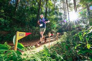 BIB: 
                            <button type="button" onclick="openModal(26626821)" class="btn btn-primary btn-sm float-right btn-popup" data-toggle="modal" data-target=".modal-high-quality">
                        <i class="fas fa-shopping-cart"></i> Add to Cart
                    </button>
                                            <button type="button" onclick="isThisMe(26626821, true)" class="btn btn-success btn-sm float-right btn-popup btn-isme hidden" data-toggle="tooltip" data-placement="bottom" title="นี่คือรูปของคุณใช่ไหม คลิกที่นี่เพื่อเอาเข้าอัลบั้ม">
                        <i class="fas fa-plus"></i> Add to album
                    </button>
                    <button type="button" onclick="isThisMe(26626821, false)" class="btn btn-warning btn-sm float-right btn-popup btn-isnotme hidden">
                        <i class="fas fa-ban"></i> Remove from album
                    </button>