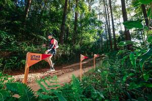 BIB: 
                            <button type="button" onclick="openModal(26627661)" class="btn btn-primary btn-sm float-right btn-popup" data-toggle="modal" data-target=".modal-high-quality">
                        <i class="fas fa-shopping-cart"></i> Add to Cart
                    </button>
                                            <button type="button" onclick="isThisMe(26627661, true)" class="btn btn-success btn-sm float-right btn-popup btn-isme hidden" data-toggle="tooltip" data-placement="bottom" title="นี่คือรูปของคุณใช่ไหม คลิกที่นี่เพื่อเอาเข้าอัลบั้ม">
                        <i class="fas fa-plus"></i> Add to album
                    </button>
                    <button type="button" onclick="isThisMe(26627661, false)" class="btn btn-warning btn-sm float-right btn-popup btn-isnotme hidden">
                        <i class="fas fa-ban"></i> Remove from album
                    </button>