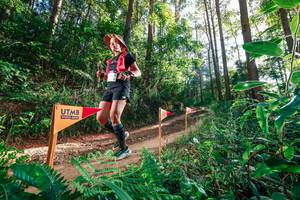 BIB: 
                            <button type="button" onclick="openModal(26627722)" class="btn btn-primary btn-sm float-right btn-popup" data-toggle="modal" data-target=".modal-high-quality">
                        <i class="fas fa-shopping-cart"></i> Add to Cart
                    </button>
                                            <button type="button" onclick="isThisMe(26627722, true)" class="btn btn-success btn-sm float-right btn-popup btn-isme hidden" data-toggle="tooltip" data-placement="bottom" title="นี่คือรูปของคุณใช่ไหม คลิกที่นี่เพื่อเอาเข้าอัลบั้ม">
                        <i class="fas fa-plus"></i> Add to album
                    </button>
                    <button type="button" onclick="isThisMe(26627722, false)" class="btn btn-warning btn-sm float-right btn-popup btn-isnotme hidden">
                        <i class="fas fa-ban"></i> Remove from album
                    </button>