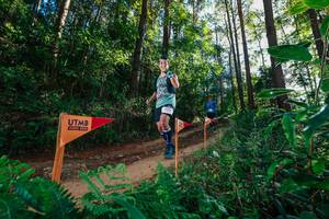 BIB: 
                            <button type="button" onclick="openModal(26628151)" class="btn btn-primary btn-sm float-right btn-popup" data-toggle="modal" data-target=".modal-high-quality">
                        <i class="fas fa-shopping-cart"></i> Add to Cart
                    </button>
                                            <button type="button" onclick="isThisMe(26628151, true)" class="btn btn-success btn-sm float-right btn-popup btn-isme hidden" data-toggle="tooltip" data-placement="bottom" title="นี่คือรูปของคุณใช่ไหม คลิกที่นี่เพื่อเอาเข้าอัลบั้ม">
                        <i class="fas fa-plus"></i> Add to album
                    </button>
                    <button type="button" onclick="isThisMe(26628151, false)" class="btn btn-warning btn-sm float-right btn-popup btn-isnotme hidden">
                        <i class="fas fa-ban"></i> Remove from album
                    </button>