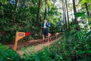 BIB: 
                            <button type="button" onclick="openModal(26627925)" class="btn btn-primary btn-sm float-right btn-popup" data-toggle="modal" data-target=".modal-high-quality">
                        <i class="fas fa-shopping-cart"></i> Add to Cart
                    </button>
                                            <button type="button" onclick="isThisMe(26627925, true)" class="btn btn-success btn-sm float-right btn-popup btn-isme hidden" data-toggle="tooltip" data-placement="bottom" title="นี่คือรูปของคุณใช่ไหม คลิกที่นี่เพื่อเอาเข้าอัลบั้ม">
                        <i class="fas fa-plus"></i> Add to album
                    </button>
                    <button type="button" onclick="isThisMe(26627925, false)" class="btn btn-warning btn-sm float-right btn-popup btn-isnotme hidden">
                        <i class="fas fa-ban"></i> Remove from album
                    </button>