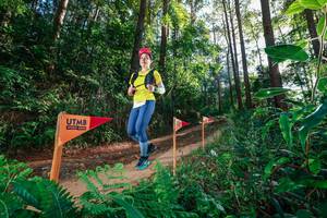 BIB: 
                            <button type="button" onclick="openModal(26627860)" class="btn btn-primary btn-sm float-right btn-popup" data-toggle="modal" data-target=".modal-high-quality">
                        <i class="fas fa-shopping-cart"></i> Add to Cart
                    </button>
                                            <button type="button" onclick="isThisMe(26627860, true)" class="btn btn-success btn-sm float-right btn-popup btn-isme hidden" data-toggle="tooltip" data-placement="bottom" title="นี่คือรูปของคุณใช่ไหม คลิกที่นี่เพื่อเอาเข้าอัลบั้ม">
                        <i class="fas fa-plus"></i> Add to album
                    </button>
                    <button type="button" onclick="isThisMe(26627860, false)" class="btn btn-warning btn-sm float-right btn-popup btn-isnotme hidden">
                        <i class="fas fa-ban"></i> Remove from album
                    </button>