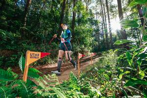 BIB: 
                            <button type="button" onclick="openModal(26626677)" class="btn btn-primary btn-sm float-right btn-popup" data-toggle="modal" data-target=".modal-high-quality">
                        <i class="fas fa-shopping-cart"></i> Add to Cart
                    </button>
                                            <button type="button" onclick="isThisMe(26626677, true)" class="btn btn-success btn-sm float-right btn-popup btn-isme hidden" data-toggle="tooltip" data-placement="bottom" title="นี่คือรูปของคุณใช่ไหม คลิกที่นี่เพื่อเอาเข้าอัลบั้ม">
                        <i class="fas fa-plus"></i> Add to album
                    </button>
                    <button type="button" onclick="isThisMe(26626677, false)" class="btn btn-warning btn-sm float-right btn-popup btn-isnotme hidden">
                        <i class="fas fa-ban"></i> Remove from album
                    </button>