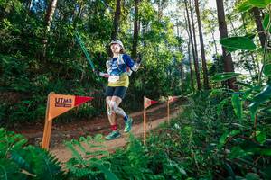 BIB: 
                            <button type="button" onclick="openModal(26628123)" class="btn btn-primary btn-sm float-right btn-popup" data-toggle="modal" data-target=".modal-high-quality">
                        <i class="fas fa-shopping-cart"></i> Add to Cart
                    </button>
                                            <button type="button" onclick="isThisMe(26628123, true)" class="btn btn-success btn-sm float-right btn-popup btn-isme hidden" data-toggle="tooltip" data-placement="bottom" title="นี่คือรูปของคุณใช่ไหม คลิกที่นี่เพื่อเอาเข้าอัลบั้ม">
                        <i class="fas fa-plus"></i> Add to album
                    </button>
                    <button type="button" onclick="isThisMe(26628123, false)" class="btn btn-warning btn-sm float-right btn-popup btn-isnotme hidden">
                        <i class="fas fa-ban"></i> Remove from album
                    </button>