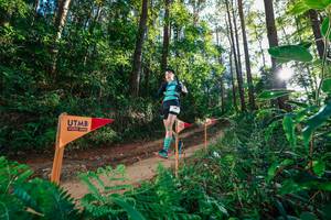 BIB: 
                            <button type="button" onclick="openModal(26628076)" class="btn btn-primary btn-sm float-right btn-popup" data-toggle="modal" data-target=".modal-high-quality">
                        <i class="fas fa-shopping-cart"></i> Add to Cart
                    </button>
                                            <button type="button" onclick="isThisMe(26628076, true)" class="btn btn-success btn-sm float-right btn-popup btn-isme hidden" data-toggle="tooltip" data-placement="bottom" title="นี่คือรูปของคุณใช่ไหม คลิกที่นี่เพื่อเอาเข้าอัลบั้ม">
                        <i class="fas fa-plus"></i> Add to album
                    </button>
                    <button type="button" onclick="isThisMe(26628076, false)" class="btn btn-warning btn-sm float-right btn-popup btn-isnotme hidden">
                        <i class="fas fa-ban"></i> Remove from album
                    </button>