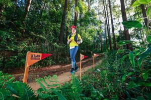 BIB: 
                            <button type="button" onclick="openModal(26627862)" class="btn btn-primary btn-sm float-right btn-popup" data-toggle="modal" data-target=".modal-high-quality">
                        <i class="fas fa-shopping-cart"></i> Add to Cart
                    </button>
                                            <button type="button" onclick="isThisMe(26627862, true)" class="btn btn-success btn-sm float-right btn-popup btn-isme hidden" data-toggle="tooltip" data-placement="bottom" title="นี่คือรูปของคุณใช่ไหม คลิกที่นี่เพื่อเอาเข้าอัลบั้ม">
                        <i class="fas fa-plus"></i> Add to album
                    </button>
                    <button type="button" onclick="isThisMe(26627862, false)" class="btn btn-warning btn-sm float-right btn-popup btn-isnotme hidden">
                        <i class="fas fa-ban"></i> Remove from album
                    </button>