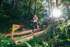 BIB: 
                            <button type="button" onclick="openModal(26627173)" class="btn btn-primary btn-sm float-right btn-popup" data-toggle="modal" data-target=".modal-high-quality">
                        <i class="fas fa-shopping-cart"></i> Add to Cart
                    </button>
                                            <button type="button" onclick="isThisMe(26627173, true)" class="btn btn-success btn-sm float-right btn-popup btn-isme hidden" data-toggle="tooltip" data-placement="bottom" title="นี่คือรูปของคุณใช่ไหม คลิกที่นี่เพื่อเอาเข้าอัลบั้ม">
                        <i class="fas fa-plus"></i> Add to album
                    </button>
                    <button type="button" onclick="isThisMe(26627173, false)" class="btn btn-warning btn-sm float-right btn-popup btn-isnotme hidden">
                        <i class="fas fa-ban"></i> Remove from album
                    </button>