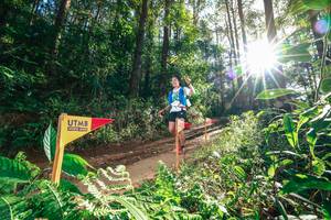 BIB: 
                            <button type="button" onclick="openModal(26626719)" class="btn btn-primary btn-sm float-right btn-popup" data-toggle="modal" data-target=".modal-high-quality">
                        <i class="fas fa-shopping-cart"></i> Add to Cart
                    </button>
                                            <button type="button" onclick="isThisMe(26626719, true)" class="btn btn-success btn-sm float-right btn-popup btn-isme hidden" data-toggle="tooltip" data-placement="bottom" title="นี่คือรูปของคุณใช่ไหม คลิกที่นี่เพื่อเอาเข้าอัลบั้ม">
                        <i class="fas fa-plus"></i> Add to album
                    </button>
                    <button type="button" onclick="isThisMe(26626719, false)" class="btn btn-warning btn-sm float-right btn-popup btn-isnotme hidden">
                        <i class="fas fa-ban"></i> Remove from album
                    </button>