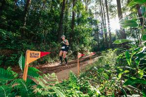 BIB: 
                            <button type="button" onclick="openModal(26626658)" class="btn btn-primary btn-sm float-right btn-popup" data-toggle="modal" data-target=".modal-high-quality">
                        <i class="fas fa-shopping-cart"></i> Add to Cart
                    </button>
                                            <button type="button" onclick="isThisMe(26626658, true)" class="btn btn-success btn-sm float-right btn-popup btn-isme hidden" data-toggle="tooltip" data-placement="bottom" title="นี่คือรูปของคุณใช่ไหม คลิกที่นี่เพื่อเอาเข้าอัลบั้ม">
                        <i class="fas fa-plus"></i> Add to album
                    </button>
                    <button type="button" onclick="isThisMe(26626658, false)" class="btn btn-warning btn-sm float-right btn-popup btn-isnotme hidden">
                        <i class="fas fa-ban"></i> Remove from album
                    </button>