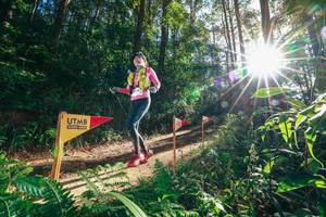 BIB: 
                            <button type="button" onclick="openModal(26627176)" class="btn btn-primary btn-sm float-right btn-popup" data-toggle="modal" data-target=".modal-high-quality">
                        <i class="fas fa-shopping-cart"></i> Add to Cart
                    </button>
                                            <button type="button" onclick="isThisMe(26627176, true)" class="btn btn-success btn-sm float-right btn-popup btn-isme hidden" data-toggle="tooltip" data-placement="bottom" title="นี่คือรูปของคุณใช่ไหม คลิกที่นี่เพื่อเอาเข้าอัลบั้ม">
                        <i class="fas fa-plus"></i> Add to album
                    </button>
                    <button type="button" onclick="isThisMe(26627176, false)" class="btn btn-warning btn-sm float-right btn-popup btn-isnotme hidden">
                        <i class="fas fa-ban"></i> Remove from album
                    </button>