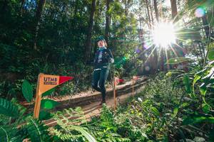 BIB: 
                            <button type="button" onclick="openModal(26626252)" class="btn btn-primary btn-sm float-right btn-popup" data-toggle="modal" data-target=".modal-high-quality">
                        <i class="fas fa-shopping-cart"></i> Add to Cart
                    </button>
                                            <button type="button" onclick="isThisMe(26626252, true)" class="btn btn-success btn-sm float-right btn-popup btn-isme hidden" data-toggle="tooltip" data-placement="bottom" title="นี่คือรูปของคุณใช่ไหม คลิกที่นี่เพื่อเอาเข้าอัลบั้ม">
                        <i class="fas fa-plus"></i> Add to album
                    </button>
                    <button type="button" onclick="isThisMe(26626252, false)" class="btn btn-warning btn-sm float-right btn-popup btn-isnotme hidden">
                        <i class="fas fa-ban"></i> Remove from album
                    </button>