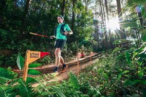 BIB: 
                            <button type="button" onclick="openModal(26626396)" class="btn btn-primary btn-sm float-right btn-popup" data-toggle="modal" data-target=".modal-high-quality">
                        <i class="fas fa-shopping-cart"></i> Add to Cart
                    </button>
                                            <button type="button" onclick="isThisMe(26626396, true)" class="btn btn-success btn-sm float-right btn-popup btn-isme hidden" data-toggle="tooltip" data-placement="bottom" title="นี่คือรูปของคุณใช่ไหม คลิกที่นี่เพื่อเอาเข้าอัลบั้ม">
                        <i class="fas fa-plus"></i> Add to album
                    </button>
                    <button type="button" onclick="isThisMe(26626396, false)" class="btn btn-warning btn-sm float-right btn-popup btn-isnotme hidden">
                        <i class="fas fa-ban"></i> Remove from album
                    </button>