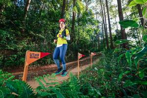 BIB: 
                            <button type="button" onclick="openModal(26627863)" class="btn btn-primary btn-sm float-right btn-popup" data-toggle="modal" data-target=".modal-high-quality">
                        <i class="fas fa-shopping-cart"></i> Add to Cart
                    </button>
                                            <button type="button" onclick="isThisMe(26627863, true)" class="btn btn-success btn-sm float-right btn-popup btn-isme hidden" data-toggle="tooltip" data-placement="bottom" title="นี่คือรูปของคุณใช่ไหม คลิกที่นี่เพื่อเอาเข้าอัลบั้ม">
                        <i class="fas fa-plus"></i> Add to album
                    </button>
                    <button type="button" onclick="isThisMe(26627863, false)" class="btn btn-warning btn-sm float-right btn-popup btn-isnotme hidden">
                        <i class="fas fa-ban"></i> Remove from album
                    </button>