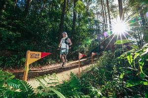 BIB: 
                            <button type="button" onclick="openModal(26627155)" class="btn btn-primary btn-sm float-right btn-popup" data-toggle="modal" data-target=".modal-high-quality">
                        <i class="fas fa-shopping-cart"></i> Add to Cart
                    </button>
                                            <button type="button" onclick="isThisMe(26627155, true)" class="btn btn-success btn-sm float-right btn-popup btn-isme hidden" data-toggle="tooltip" data-placement="bottom" title="นี่คือรูปของคุณใช่ไหม คลิกที่นี่เพื่อเอาเข้าอัลบั้ม">
                        <i class="fas fa-plus"></i> Add to album
                    </button>
                    <button type="button" onclick="isThisMe(26627155, false)" class="btn btn-warning btn-sm float-right btn-popup btn-isnotme hidden">
                        <i class="fas fa-ban"></i> Remove from album
                    </button>