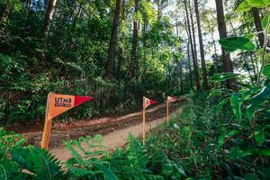 BIB: 
                            <button type="button" onclick="openModal(26627830)" class="btn btn-primary btn-sm float-right btn-popup" data-toggle="modal" data-target=".modal-high-quality">
                        <i class="fas fa-shopping-cart"></i> Add to Cart
                    </button>
                                            <button type="button" onclick="isThisMe(26627830, true)" class="btn btn-success btn-sm float-right btn-popup btn-isme hidden" data-toggle="tooltip" data-placement="bottom" title="นี่คือรูปของคุณใช่ไหม คลิกที่นี่เพื่อเอาเข้าอัลบั้ม">
                        <i class="fas fa-plus"></i> Add to album
                    </button>
                    <button type="button" onclick="isThisMe(26627830, false)" class="btn btn-warning btn-sm float-right btn-popup btn-isnotme hidden">
                        <i class="fas fa-ban"></i> Remove from album
                    </button>