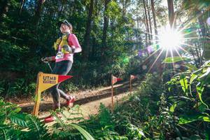 BIB: 
                            <button type="button" onclick="openModal(26627185)" class="btn btn-primary btn-sm float-right btn-popup" data-toggle="modal" data-target=".modal-high-quality">
                        <i class="fas fa-shopping-cart"></i> Add to Cart
                    </button>
                                            <button type="button" onclick="isThisMe(26627185, true)" class="btn btn-success btn-sm float-right btn-popup btn-isme hidden" data-toggle="tooltip" data-placement="bottom" title="นี่คือรูปของคุณใช่ไหม คลิกที่นี่เพื่อเอาเข้าอัลบั้ม">
                        <i class="fas fa-plus"></i> Add to album
                    </button>
                    <button type="button" onclick="isThisMe(26627185, false)" class="btn btn-warning btn-sm float-right btn-popup btn-isnotme hidden">
                        <i class="fas fa-ban"></i> Remove from album
                    </button>