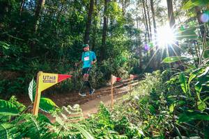 BIB: 
                            <button type="button" onclick="openModal(26626763)" class="btn btn-primary btn-sm float-right btn-popup" data-toggle="modal" data-target=".modal-high-quality">
                        <i class="fas fa-shopping-cart"></i> Add to Cart
                    </button>
                                            <button type="button" onclick="isThisMe(26626763, true)" class="btn btn-success btn-sm float-right btn-popup btn-isme hidden" data-toggle="tooltip" data-placement="bottom" title="นี่คือรูปของคุณใช่ไหม คลิกที่นี่เพื่อเอาเข้าอัลบั้ม">
                        <i class="fas fa-plus"></i> Add to album
                    </button>
                    <button type="button" onclick="isThisMe(26626763, false)" class="btn btn-warning btn-sm float-right btn-popup btn-isnotme hidden">
                        <i class="fas fa-ban"></i> Remove from album
                    </button>