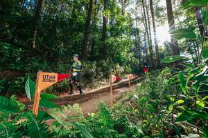 BIB: 
                            <button type="button" onclick="openModal(26626529)" class="btn btn-primary btn-sm float-right btn-popup" data-toggle="modal" data-target=".modal-high-quality">
                        <i class="fas fa-shopping-cart"></i> Add to Cart
                    </button>
                                            <button type="button" onclick="isThisMe(26626529, true)" class="btn btn-success btn-sm float-right btn-popup btn-isme hidden" data-toggle="tooltip" data-placement="bottom" title="นี่คือรูปของคุณใช่ไหม คลิกที่นี่เพื่อเอาเข้าอัลบั้ม">
                        <i class="fas fa-plus"></i> Add to album
                    </button>
                    <button type="button" onclick="isThisMe(26626529, false)" class="btn btn-warning btn-sm float-right btn-popup btn-isnotme hidden">
                        <i class="fas fa-ban"></i> Remove from album
                    </button>