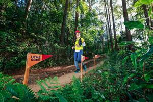 BIB: 
                            <button type="button" onclick="openModal(26627855)" class="btn btn-primary btn-sm float-right btn-popup" data-toggle="modal" data-target=".modal-high-quality">
                        <i class="fas fa-shopping-cart"></i> Add to Cart
                    </button>
                                            <button type="button" onclick="isThisMe(26627855, true)" class="btn btn-success btn-sm float-right btn-popup btn-isme hidden" data-toggle="tooltip" data-placement="bottom" title="นี่คือรูปของคุณใช่ไหม คลิกที่นี่เพื่อเอาเข้าอัลบั้ม">
                        <i class="fas fa-plus"></i> Add to album
                    </button>
                    <button type="button" onclick="isThisMe(26627855, false)" class="btn btn-warning btn-sm float-right btn-popup btn-isnotme hidden">
                        <i class="fas fa-ban"></i> Remove from album
                    </button>