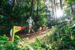 BIB: 
                            <button type="button" onclick="openModal(26626778)" class="btn btn-primary btn-sm float-right btn-popup" data-toggle="modal" data-target=".modal-high-quality">
                        <i class="fas fa-shopping-cart"></i> Add to Cart
                    </button>
                                            <button type="button" onclick="isThisMe(26626778, true)" class="btn btn-success btn-sm float-right btn-popup btn-isme hidden" data-toggle="tooltip" data-placement="bottom" title="นี่คือรูปของคุณใช่ไหม คลิกที่นี่เพื่อเอาเข้าอัลบั้ม">
                        <i class="fas fa-plus"></i> Add to album
                    </button>
                    <button type="button" onclick="isThisMe(26626778, false)" class="btn btn-warning btn-sm float-right btn-popup btn-isnotme hidden">
                        <i class="fas fa-ban"></i> Remove from album
                    </button>