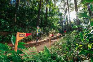 BIB: 
                            <button type="button" onclick="openModal(26626531)" class="btn btn-primary btn-sm float-right btn-popup" data-toggle="modal" data-target=".modal-high-quality">
                        <i class="fas fa-shopping-cart"></i> Add to Cart
                    </button>
                                            <button type="button" onclick="isThisMe(26626531, true)" class="btn btn-success btn-sm float-right btn-popup btn-isme hidden" data-toggle="tooltip" data-placement="bottom" title="นี่คือรูปของคุณใช่ไหม คลิกที่นี่เพื่อเอาเข้าอัลบั้ม">
                        <i class="fas fa-plus"></i> Add to album
                    </button>
                    <button type="button" onclick="isThisMe(26626531, false)" class="btn btn-warning btn-sm float-right btn-popup btn-isnotme hidden">
                        <i class="fas fa-ban"></i> Remove from album
                    </button>