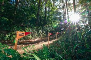 BIB: 
                            <button type="button" onclick="openModal(26627415)" class="btn btn-primary btn-sm float-right btn-popup" data-toggle="modal" data-target=".modal-high-quality">
                        <i class="fas fa-shopping-cart"></i> Add to Cart
                    </button>
                                            <button type="button" onclick="isThisMe(26627415, true)" class="btn btn-success btn-sm float-right btn-popup btn-isme hidden" data-toggle="tooltip" data-placement="bottom" title="นี่คือรูปของคุณใช่ไหม คลิกที่นี่เพื่อเอาเข้าอัลบั้ม">
                        <i class="fas fa-plus"></i> Add to album
                    </button>
                    <button type="button" onclick="isThisMe(26627415, false)" class="btn btn-warning btn-sm float-right btn-popup btn-isnotme hidden">
                        <i class="fas fa-ban"></i> Remove from album
                    </button>