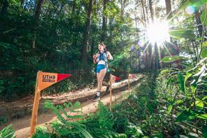 BIB: 
                            <button type="button" onclick="openModal(26626195)" class="btn btn-primary btn-sm float-right btn-popup" data-toggle="modal" data-target=".modal-high-quality">
                        <i class="fas fa-shopping-cart"></i> Add to Cart
                    </button>
                                            <button type="button" onclick="isThisMe(26626195, true)" class="btn btn-success btn-sm float-right btn-popup btn-isme hidden" data-toggle="tooltip" data-placement="bottom" title="นี่คือรูปของคุณใช่ไหม คลิกที่นี่เพื่อเอาเข้าอัลบั้ม">
                        <i class="fas fa-plus"></i> Add to album
                    </button>
                    <button type="button" onclick="isThisMe(26626195, false)" class="btn btn-warning btn-sm float-right btn-popup btn-isnotme hidden">
                        <i class="fas fa-ban"></i> Remove from album
                    </button>