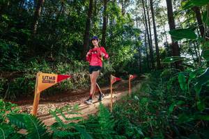 BIB: 
                            <button type="button" onclick="openModal(26627536)" class="btn btn-primary btn-sm float-right btn-popup" data-toggle="modal" data-target=".modal-high-quality">
                        <i class="fas fa-shopping-cart"></i> Add to Cart
                    </button>
                                            <button type="button" onclick="isThisMe(26627536, true)" class="btn btn-success btn-sm float-right btn-popup btn-isme hidden" data-toggle="tooltip" data-placement="bottom" title="นี่คือรูปของคุณใช่ไหม คลิกที่นี่เพื่อเอาเข้าอัลบั้ม">
                        <i class="fas fa-plus"></i> Add to album
                    </button>
                    <button type="button" onclick="isThisMe(26627536, false)" class="btn btn-warning btn-sm float-right btn-popup btn-isnotme hidden">
                        <i class="fas fa-ban"></i> Remove from album
                    </button>