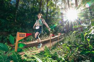 BIB: 
                            <button type="button" onclick="openModal(26626234)" class="btn btn-primary btn-sm float-right btn-popup" data-toggle="modal" data-target=".modal-high-quality">
                        <i class="fas fa-shopping-cart"></i> Add to Cart
                    </button>
                                            <button type="button" onclick="isThisMe(26626234, true)" class="btn btn-success btn-sm float-right btn-popup btn-isme hidden" data-toggle="tooltip" data-placement="bottom" title="นี่คือรูปของคุณใช่ไหม คลิกที่นี่เพื่อเอาเข้าอัลบั้ม">
                        <i class="fas fa-plus"></i> Add to album
                    </button>
                    <button type="button" onclick="isThisMe(26626234, false)" class="btn btn-warning btn-sm float-right btn-popup btn-isnotme hidden">
                        <i class="fas fa-ban"></i> Remove from album
                    </button>