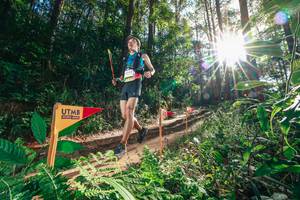 BIB: 
                            <button type="button" onclick="openModal(26626296)" class="btn btn-primary btn-sm float-right btn-popup" data-toggle="modal" data-target=".modal-high-quality">
                        <i class="fas fa-shopping-cart"></i> Add to Cart
                    </button>
                                            <button type="button" onclick="isThisMe(26626296, true)" class="btn btn-success btn-sm float-right btn-popup btn-isme hidden" data-toggle="tooltip" data-placement="bottom" title="นี่คือรูปของคุณใช่ไหม คลิกที่นี่เพื่อเอาเข้าอัลบั้ม">
                        <i class="fas fa-plus"></i> Add to album
                    </button>
                    <button type="button" onclick="isThisMe(26626296, false)" class="btn btn-warning btn-sm float-right btn-popup btn-isnotme hidden">
                        <i class="fas fa-ban"></i> Remove from album
                    </button>