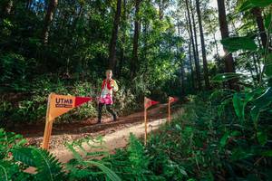 BIB: 
                            <button type="button" onclick="openModal(26627501)" class="btn btn-primary btn-sm float-right btn-popup" data-toggle="modal" data-target=".modal-high-quality">
                        <i class="fas fa-shopping-cart"></i> Add to Cart
                    </button>
                                            <button type="button" onclick="isThisMe(26627501, true)" class="btn btn-success btn-sm float-right btn-popup btn-isme hidden" data-toggle="tooltip" data-placement="bottom" title="นี่คือรูปของคุณใช่ไหม คลิกที่นี่เพื่อเอาเข้าอัลบั้ม">
                        <i class="fas fa-plus"></i> Add to album
                    </button>
                    <button type="button" onclick="isThisMe(26627501, false)" class="btn btn-warning btn-sm float-right btn-popup btn-isnotme hidden">
                        <i class="fas fa-ban"></i> Remove from album
                    </button>