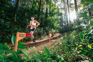 BIB: 
                            <button type="button" onclick="openModal(26626597)" class="btn btn-primary btn-sm float-right btn-popup" data-toggle="modal" data-target=".modal-high-quality">
                        <i class="fas fa-shopping-cart"></i> Add to Cart
                    </button>
                                            <button type="button" onclick="isThisMe(26626597, true)" class="btn btn-success btn-sm float-right btn-popup btn-isme hidden" data-toggle="tooltip" data-placement="bottom" title="นี่คือรูปของคุณใช่ไหม คลิกที่นี่เพื่อเอาเข้าอัลบั้ม">
                        <i class="fas fa-plus"></i> Add to album
                    </button>
                    <button type="button" onclick="isThisMe(26626597, false)" class="btn btn-warning btn-sm float-right btn-popup btn-isnotme hidden">
                        <i class="fas fa-ban"></i> Remove from album
                    </button>