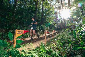 BIB: 
                            <button type="button" onclick="openModal(26626294)" class="btn btn-primary btn-sm float-right btn-popup" data-toggle="modal" data-target=".modal-high-quality">
                        <i class="fas fa-shopping-cart"></i> Add to Cart
                    </button>
                                            <button type="button" onclick="isThisMe(26626294, true)" class="btn btn-success btn-sm float-right btn-popup btn-isme hidden" data-toggle="tooltip" data-placement="bottom" title="นี่คือรูปของคุณใช่ไหม คลิกที่นี่เพื่อเอาเข้าอัลบั้ม">
                        <i class="fas fa-plus"></i> Add to album
                    </button>
                    <button type="button" onclick="isThisMe(26626294, false)" class="btn btn-warning btn-sm float-right btn-popup btn-isnotme hidden">
                        <i class="fas fa-ban"></i> Remove from album
                    </button>