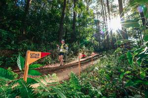 BIB: 
                            <button type="button" onclick="openModal(26626416)" class="btn btn-primary btn-sm float-right btn-popup" data-toggle="modal" data-target=".modal-high-quality">
                        <i class="fas fa-shopping-cart"></i> Add to Cart
                    </button>
                                            <button type="button" onclick="isThisMe(26626416, true)" class="btn btn-success btn-sm float-right btn-popup btn-isme hidden" data-toggle="tooltip" data-placement="bottom" title="นี่คือรูปของคุณใช่ไหม คลิกที่นี่เพื่อเอาเข้าอัลบั้ม">
                        <i class="fas fa-plus"></i> Add to album
                    </button>
                    <button type="button" onclick="isThisMe(26626416, false)" class="btn btn-warning btn-sm float-right btn-popup btn-isnotme hidden">
                        <i class="fas fa-ban"></i> Remove from album
                    </button>